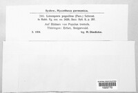 Image Associated With the Occurence